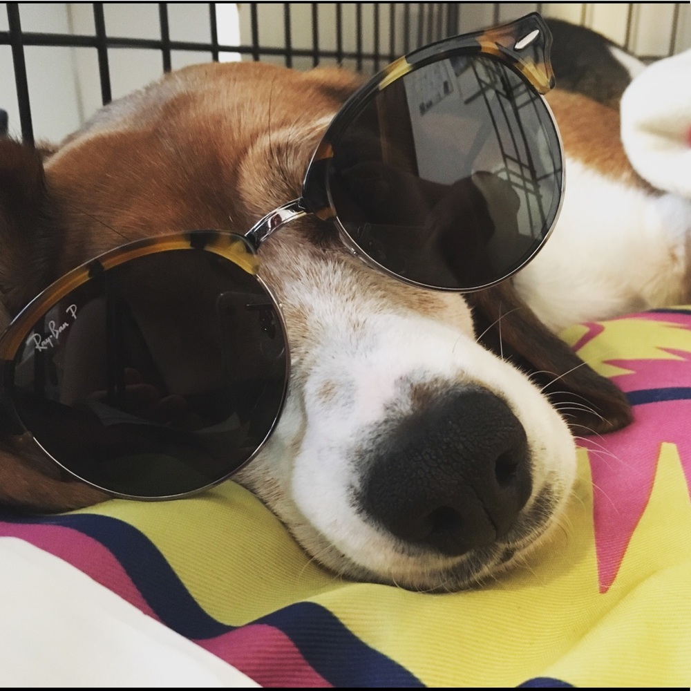 Meet your Posher, Jackie